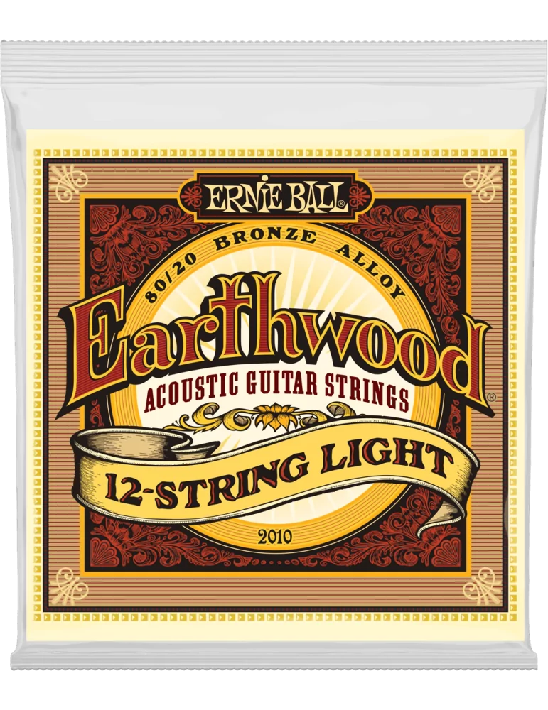 ERNIE BALL 2010 | MusicGoodDeal