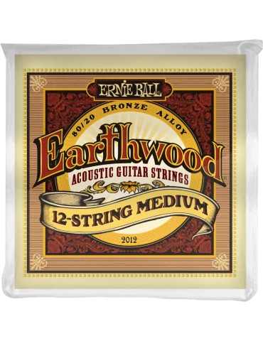 ERNIE BALL 2012 | MusicGoodDeal