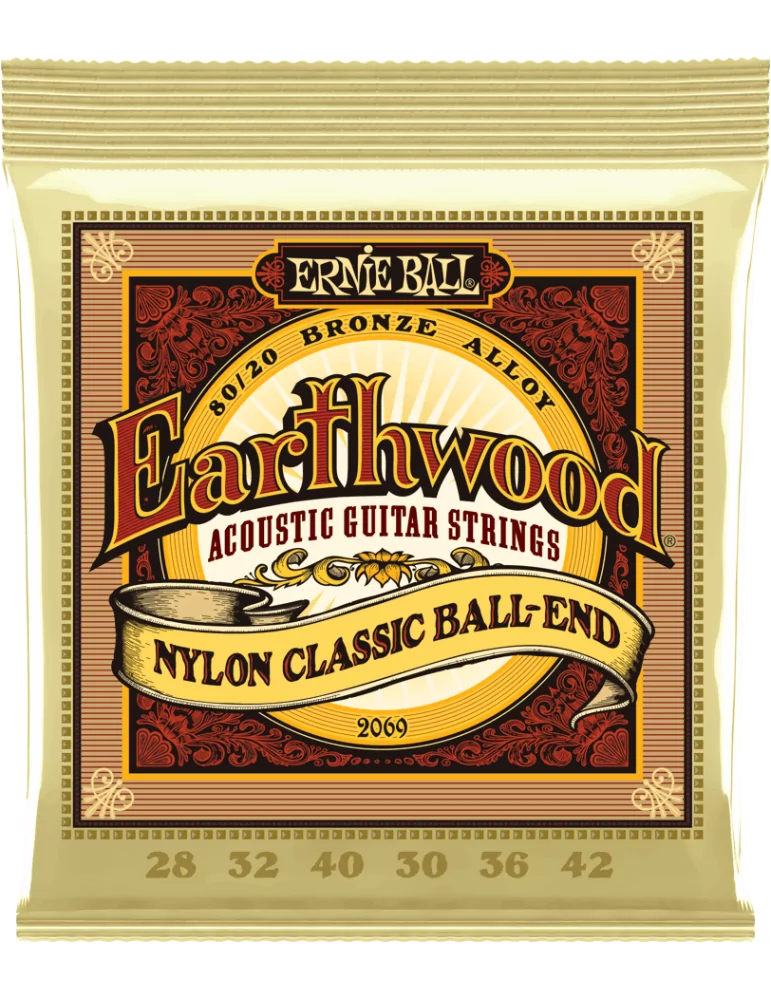 ERNIE BALL 2069 | MusicGoodDeal