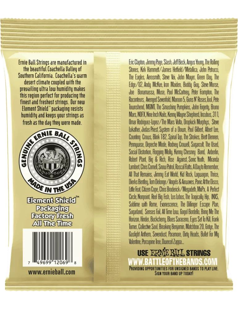 ERNIE BALL 2069 | MusicGoodDeal