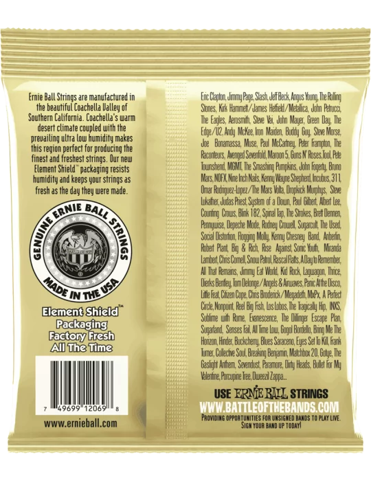 ERNIE BALL 2069 | MusicGoodDeal