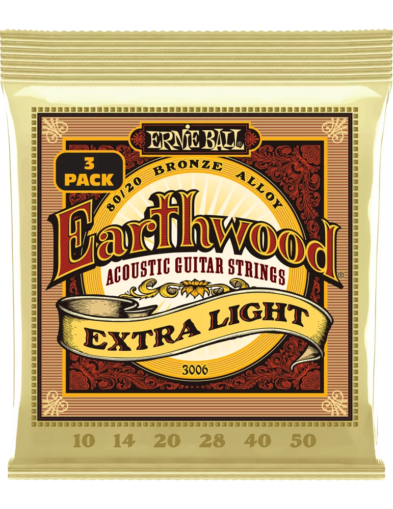 ERNIE BALL 3006 | MusicGoodDeal