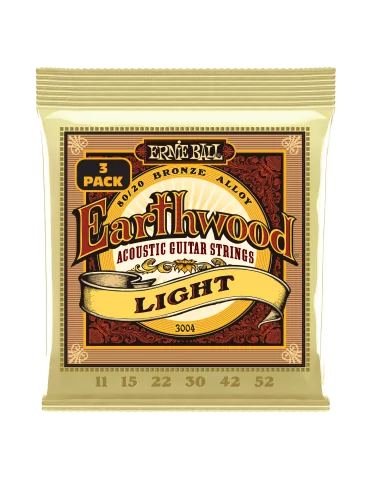 ERNIE BALL 3004 | MusicGoodDeal