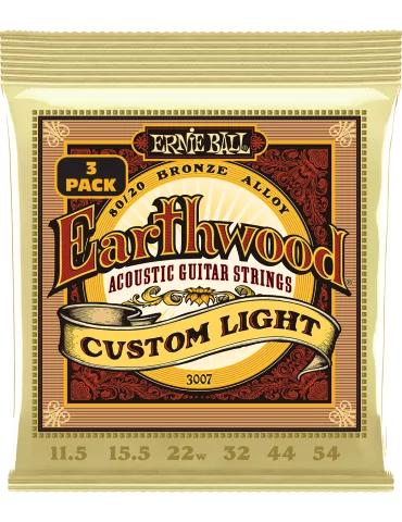 ERNIE BALL 3007 | MusicGoodDeal