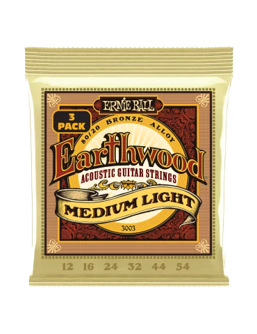 ERNIE BALL 3003 | MusicGoodDeal