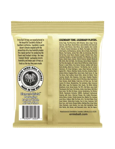 ERNIE BALL 3003 | MusicGoodDeal 2