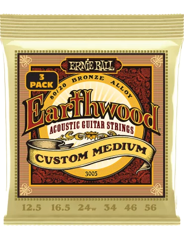 ERNIE BALL 3005 | MusicGoodDeal