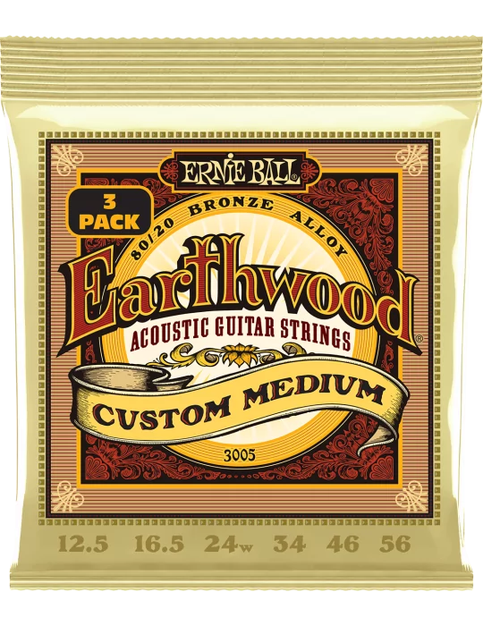 ERNIE BALL 3005 | MusicGoodDeal