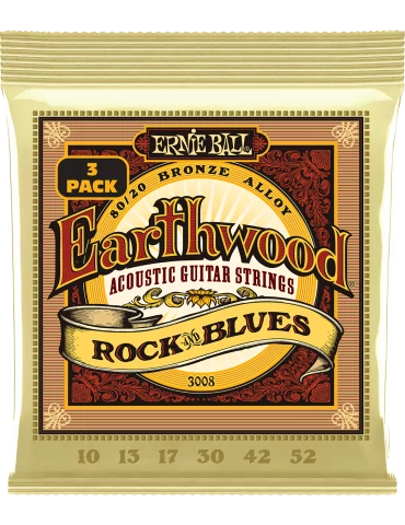 ERNIE BALL 3008 | MusicGoodDeal