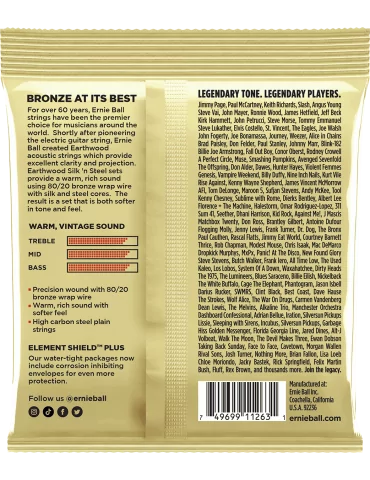 ERNIE BALL 3047 | MusicGoodDeal 2