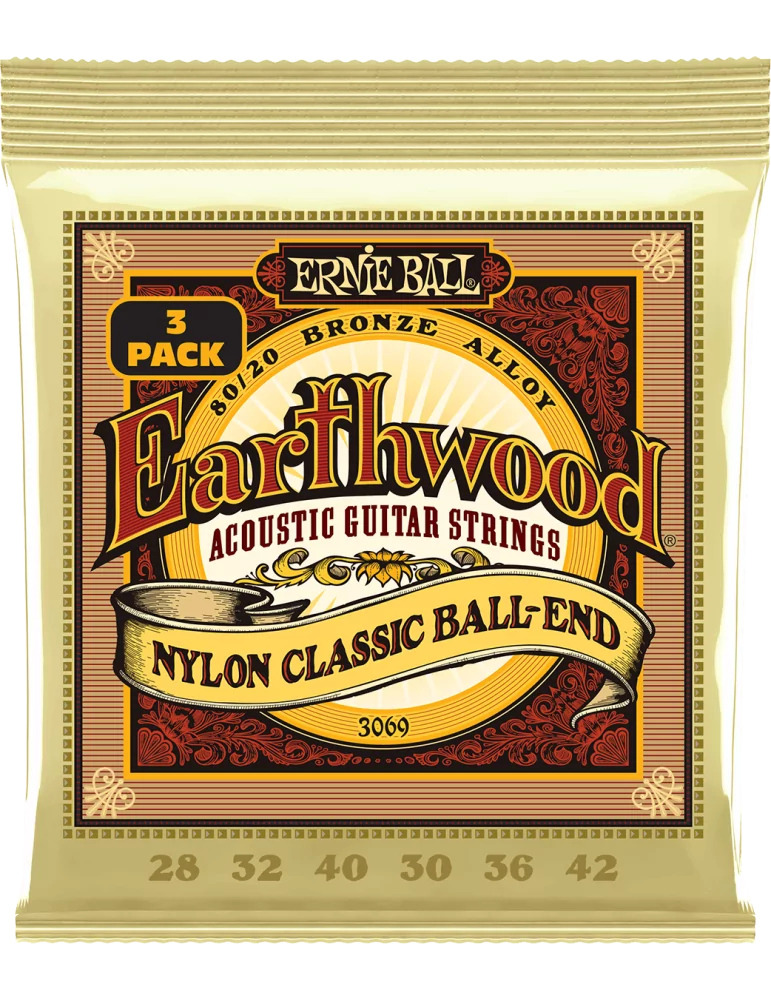ERNIE BALL 3069 | MusicGoodDeal