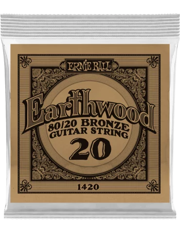 ERNIE BALL 1420 | MusicGoodDeal