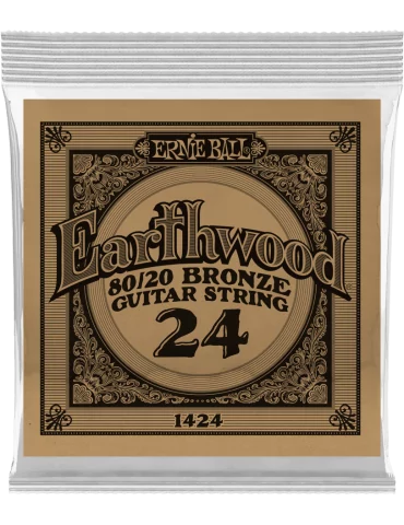 ERNIE BALL 1424 | MusicGoodDeal