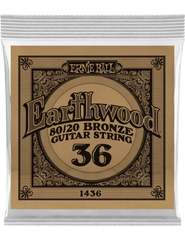 ERNIE BALL 1436 | MusicGoodDeal