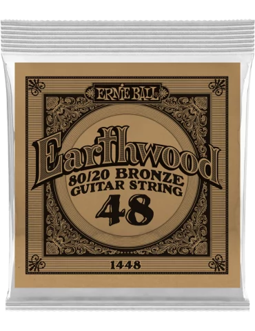 ERNIE BALL 1448 | MusicGoodDeal