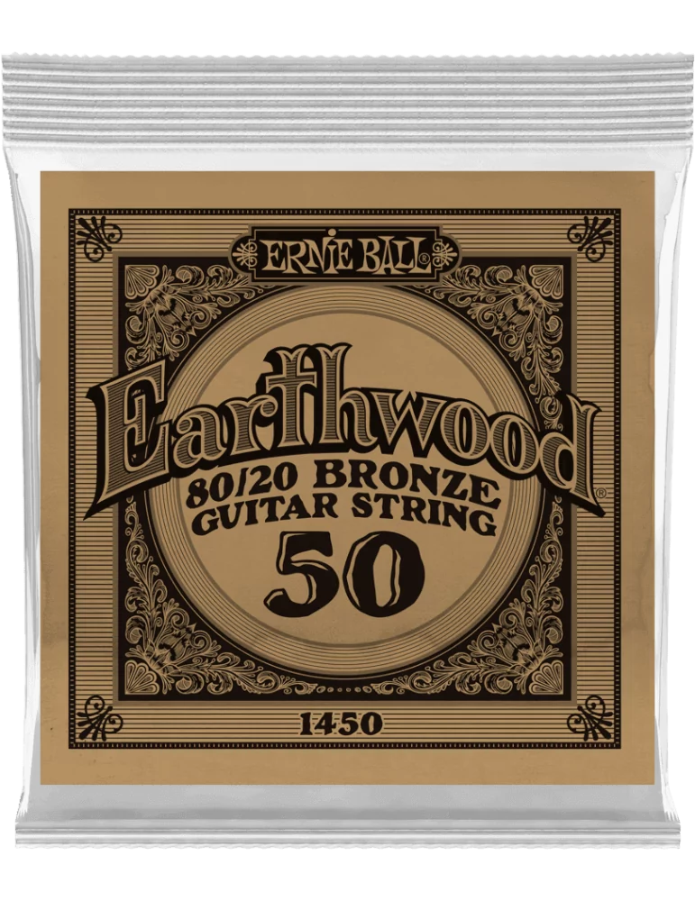 ERNIE BALL 1450 | MusicGoodDeal