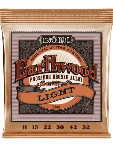 ERNIE BALL 2148 | MusicGoodDeal