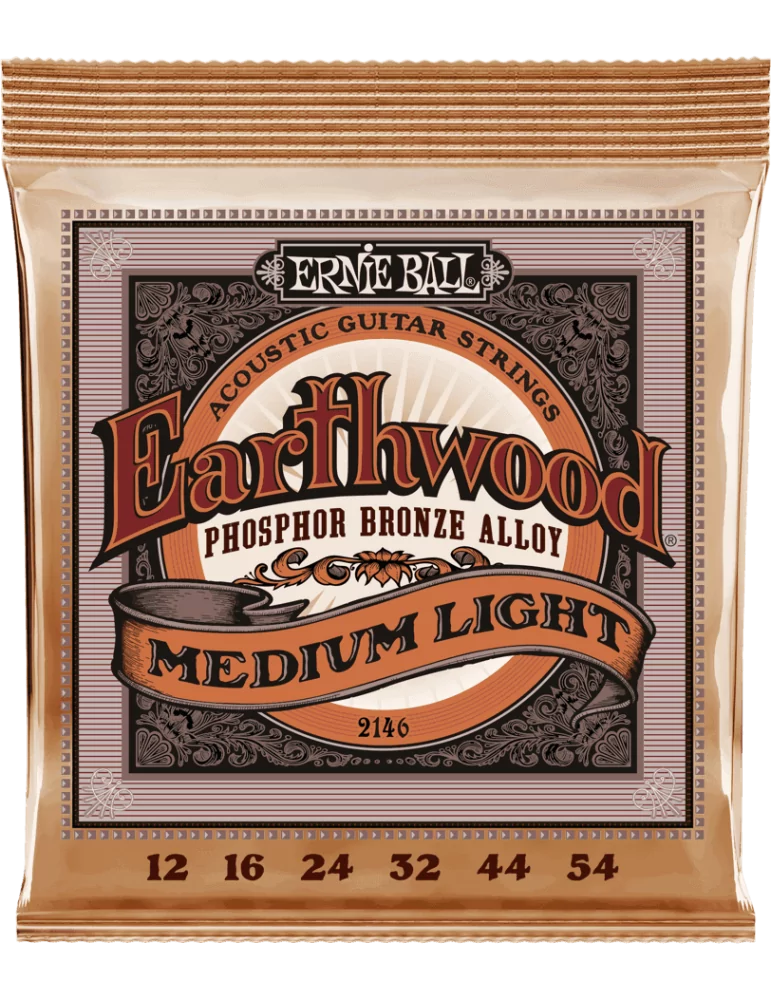 ERNIE BALL 2146 | MusicGoodDeal