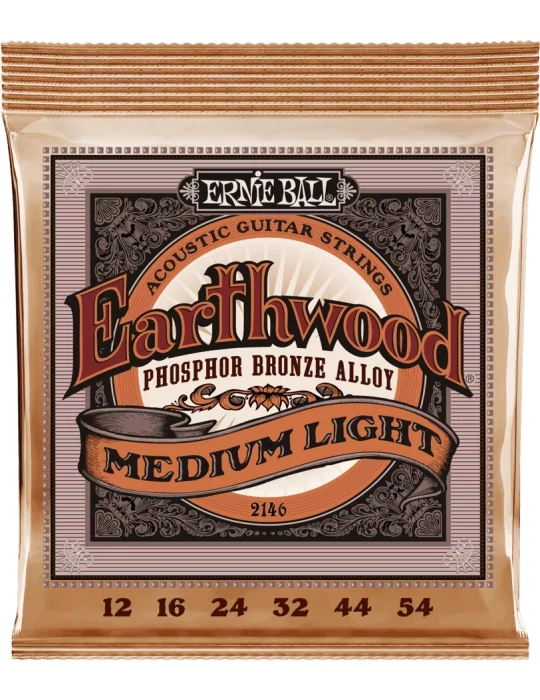 ERNIE BALL 2146 | MusicGoodDeal