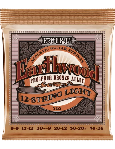 ERNIE BALL 2153 | MusicGoodDeal