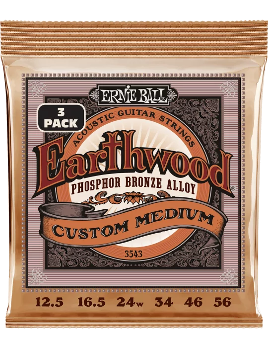 ERNIE BALL 3543 | MusicGoodDeal