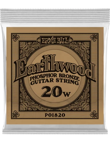ERNIE BALL 1820 | MusicGoodDeal