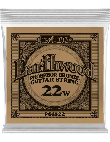 ERNIE BALL 1822 | MusicGoodDeal