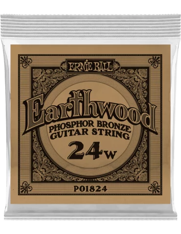 ERNIE BALL 1824 | MusicGoodDeal
