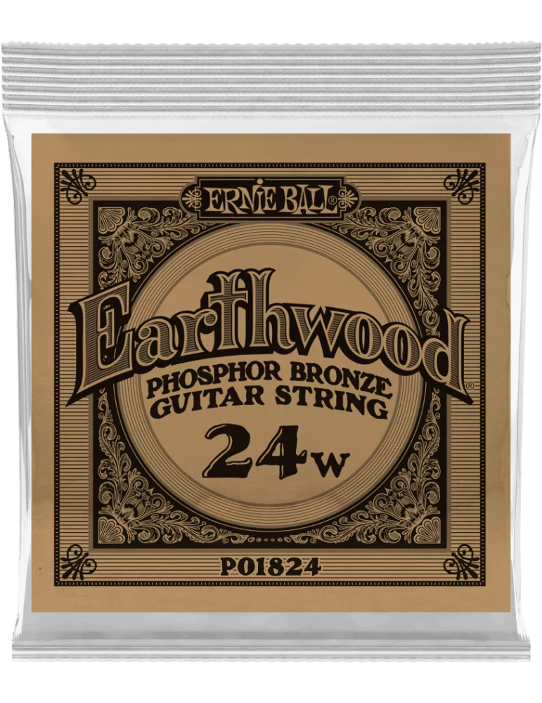 ERNIE BALL 1824 | MusicGoodDeal