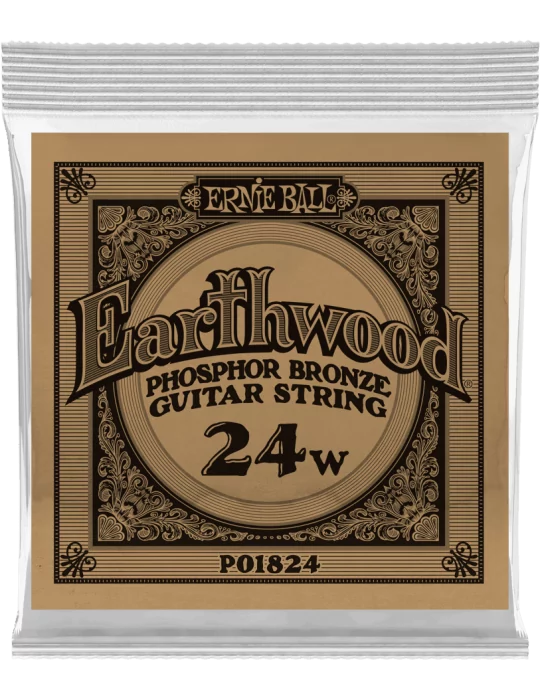 ERNIE BALL 1824 | MusicGoodDeal