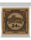 ERNIE BALL 1824 | MusicGoodDeal