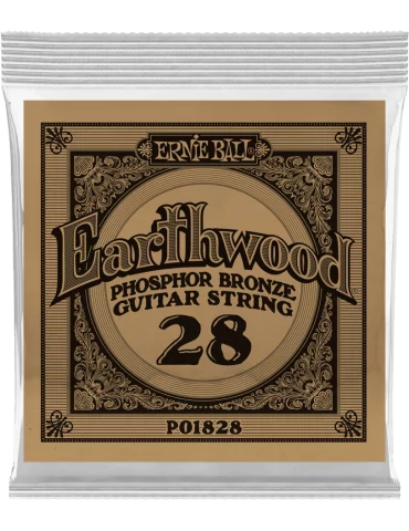 ERNIE BALL 1828 | MusicGoodDeal