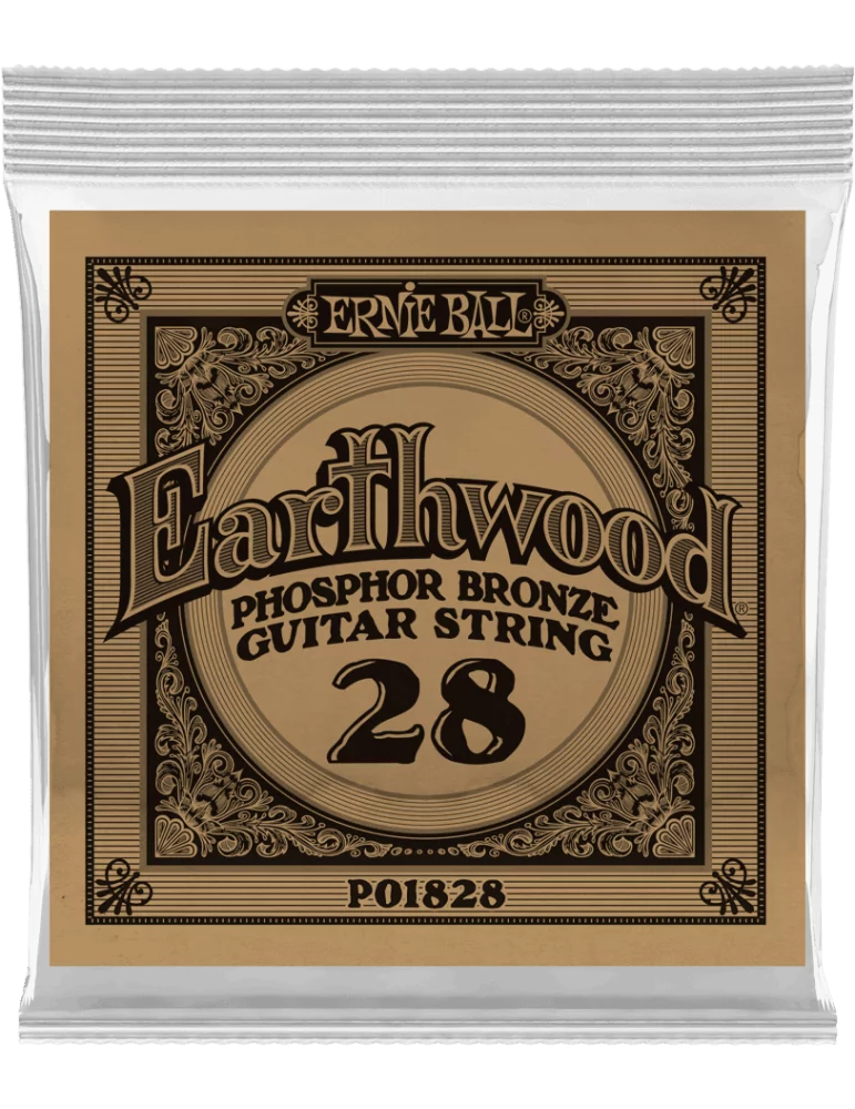 ERNIE BALL 1828 | MusicGoodDeal