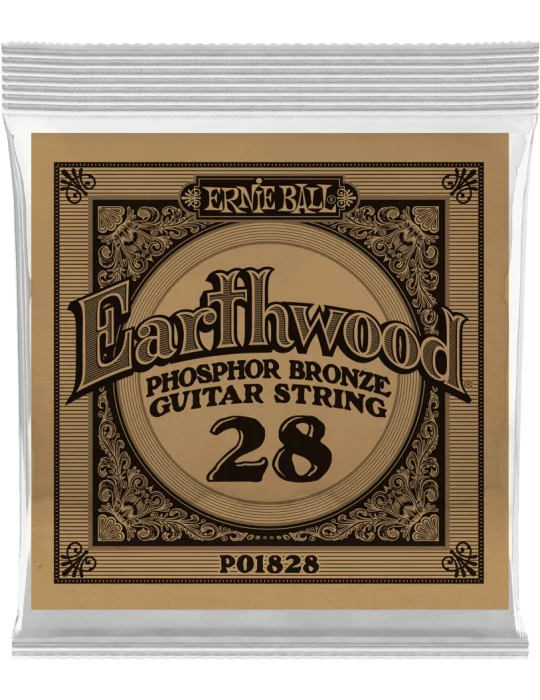 ERNIE BALL 1828 | MusicGoodDeal