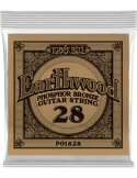 ERNIE BALL 1828 | MusicGoodDeal