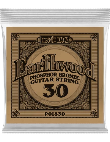 ERNIE BALL 1830 | MusicGoodDeal