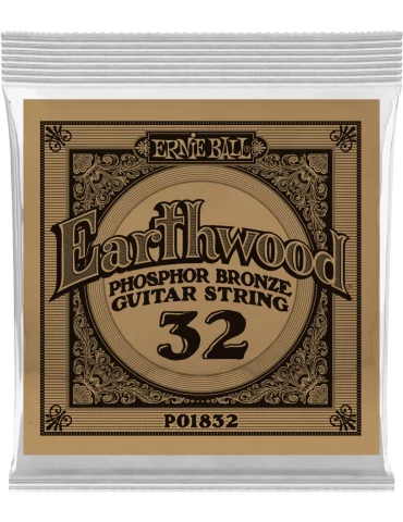 ERNIE BALL 1832 | MusicGoodDeal