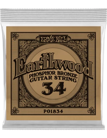 ERNIE BALL 1834 | MusicGoodDeal