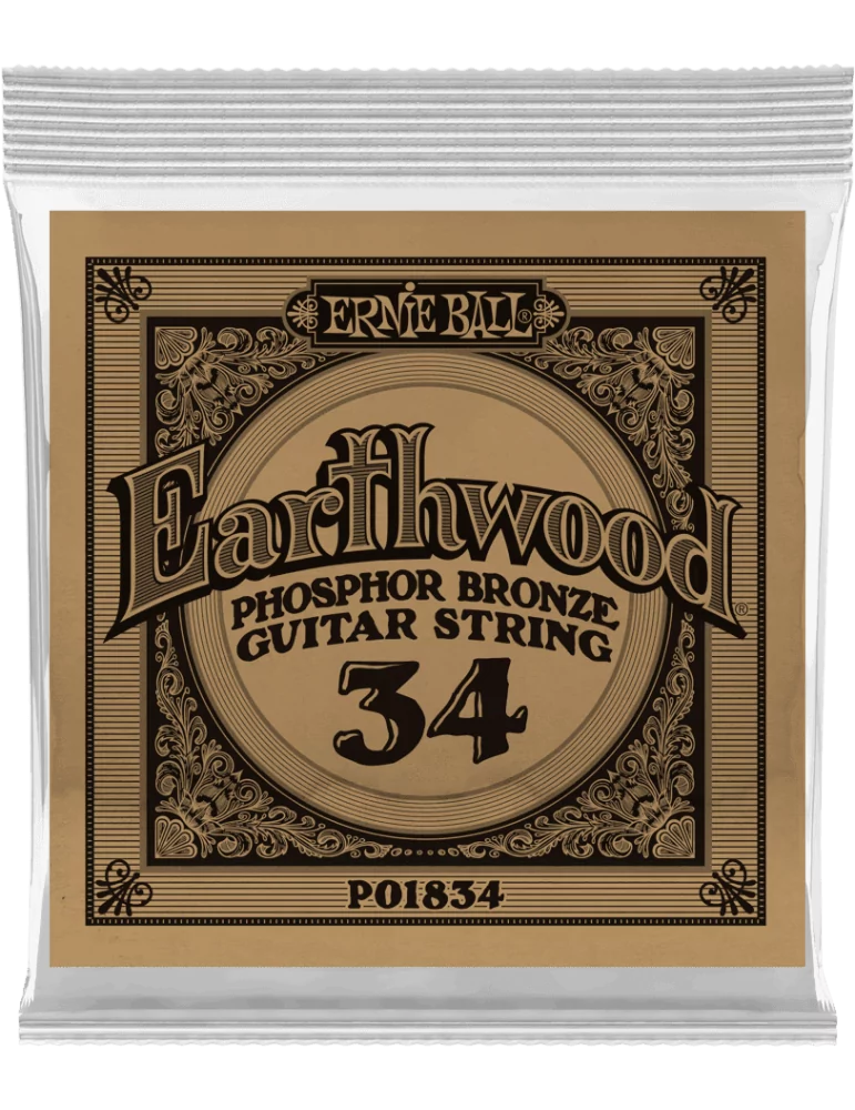 ERNIE BALL 1834 | MusicGoodDeal