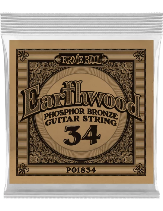 ERNIE BALL 1834 | MusicGoodDeal