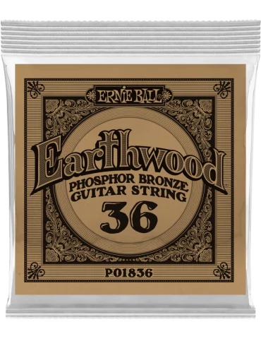ERNIE BALL 1836 | MusicGoodDeal
