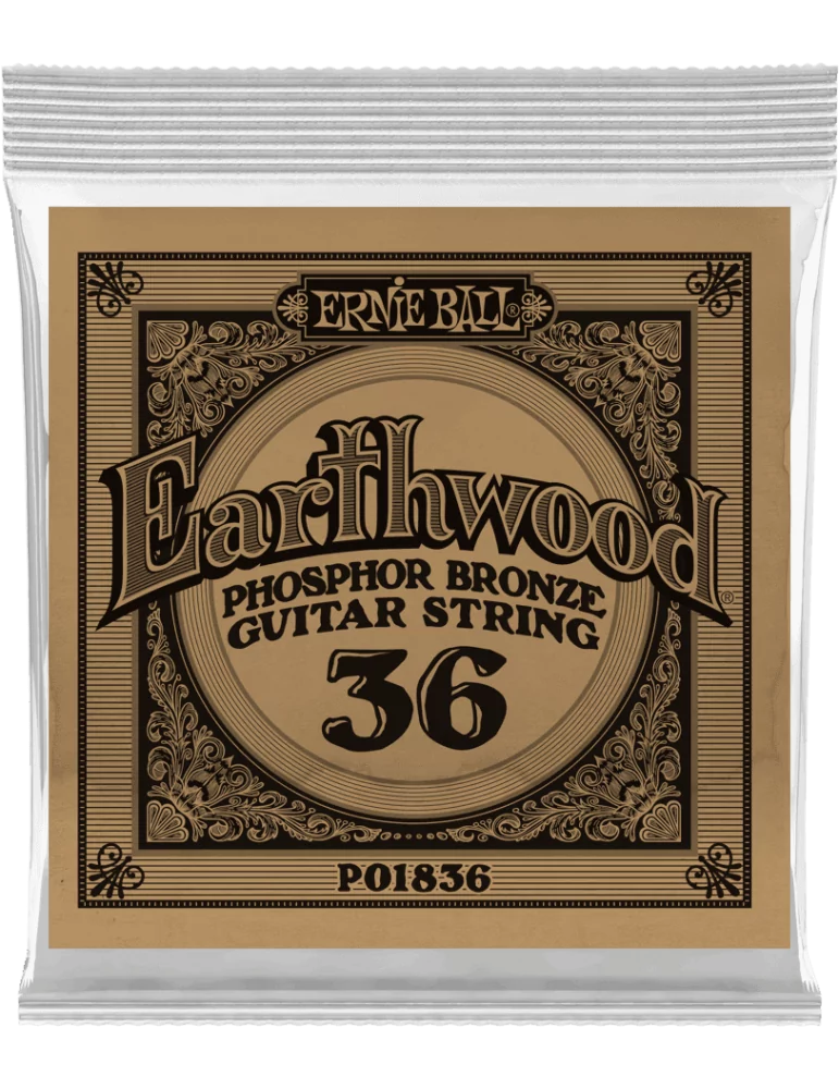 ERNIE BALL 1836 | MusicGoodDeal