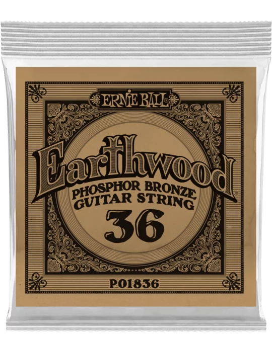 ERNIE BALL 1836 | MusicGoodDeal