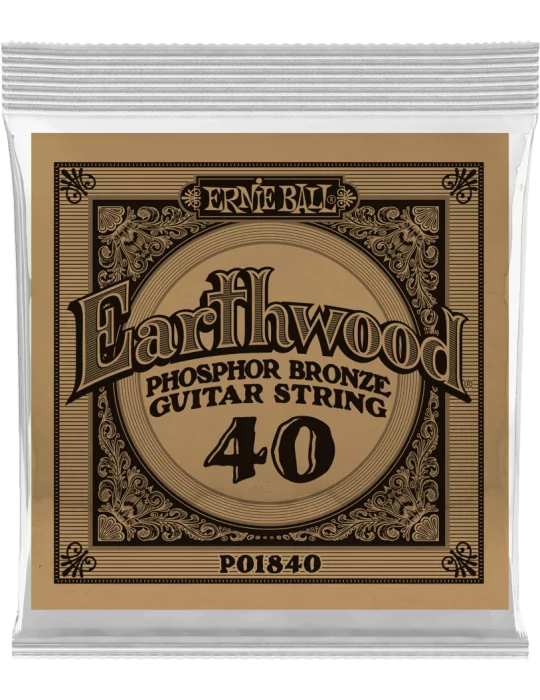 ERNIE BALL 1840 | MusicGoodDeal