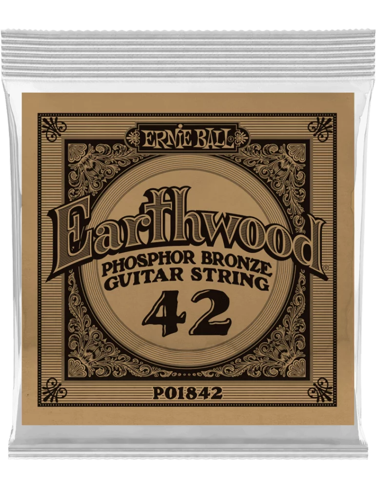 ERNIE BALL 1842 | MusicGoodDeal