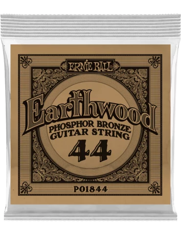 ERNIE BALL 1844 | MusicGoodDeal