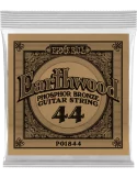ERNIE BALL 1844 | MusicGoodDeal