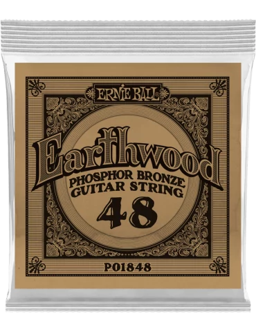 ERNIE BALL 1848 | MusicGoodDeal