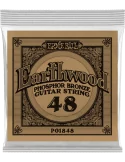 ERNIE BALL 1848 | MusicGoodDeal