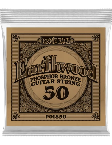 ERNIE BALL 1850 | MusicGoodDeal